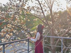 -南京晨光1865创意产业园