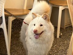 -小意思咖啡店(草桥店)