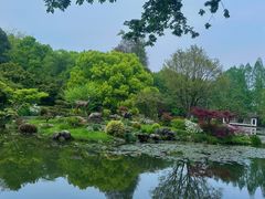 -杭州植物园