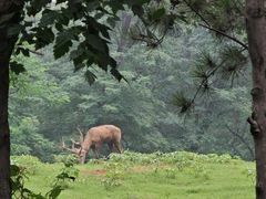 -秦皇岛野生动物园