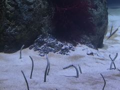 -珠海长隆海洋王国