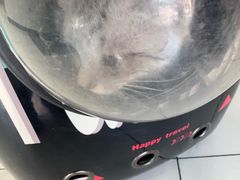 -艾吉宠物医院·疑难杂症转诊中心·猫友好(碧江路院)