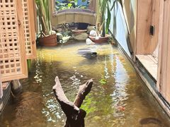 -邈墨茶馆(凤起路店)