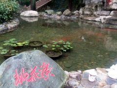 -黄山温泉国际旅游度假区