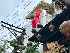 -溪岸路花鸟市场