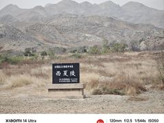 -国强手抓(西夏区店)