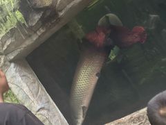 -青青世界