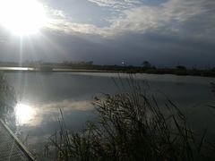 -盐城丹顶鹤湿地生态旅游区