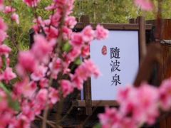 -田园东方蜜桃村的田野营地