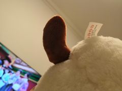 -PAWTOY爪e玩偶店(天兴罗斯福店)