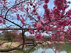 -杭州植物园
