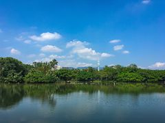-江心屿景区