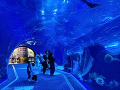 -成都浩海立方海洋公园