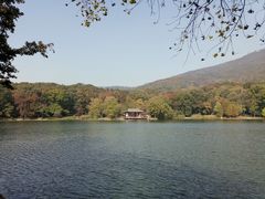 -紫霞湖公园