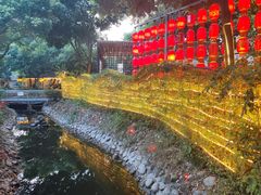 -二荆条·蜀鲜汇城市森林火锅