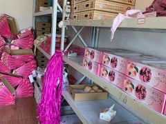 -南汇新场正宗水蜜桃采摘