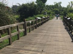 -三圣花乡旅游区