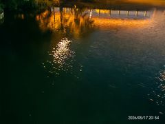 -九里河湿地公园