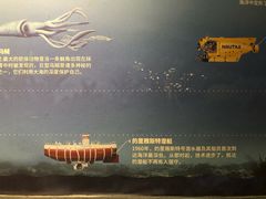-海合安武汉极地海洋公园