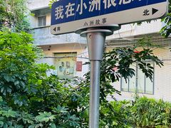 -小洲村