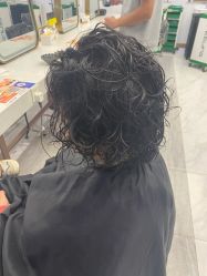 -镁连社·美联社