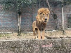 -乐和乐都主题乐园