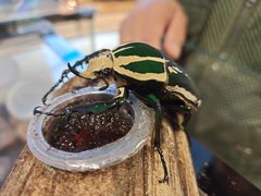 -燕莎友谊商城(亮马桥店)