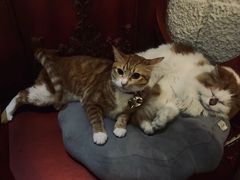 -逃脱反斗城沉浸剧情密室(北京路店)