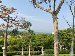 -五通灯塔公园