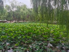 -满都海公园