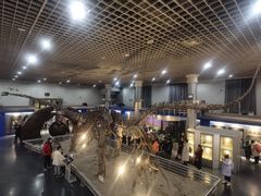 -国家自然博物馆