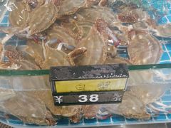 -阿毛饭店·传统宁波菜(儿童公园旗舰店)
