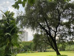 -东风公园