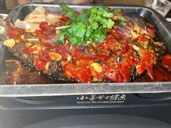 -小舅母子烤鱼(天生城店)