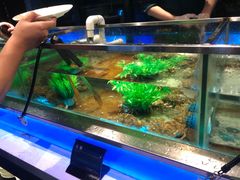 水产区-V-ONE西雅图海鲜自助餐厅(仓山万达广场店)