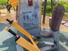 -新江湾城公园