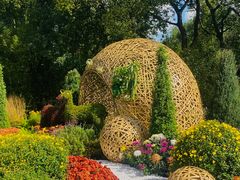 -上海共青森林公园