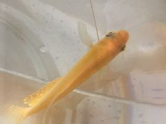 -中影南方影城嘉邻中心店