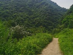 -抱龙峪