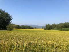 -良渚古城遗址公园