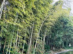 -求雨山文化公园