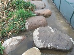 -石塘人家