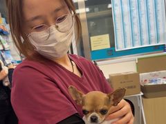 -美联众合爱康动物医院•复杂内科•肿瘤科•牙科•腔镜诊疗中心