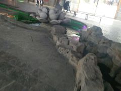 -金春禧(世茂国际广场店)