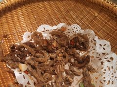 -大榕树下顺德菜(融创茂店)