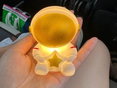 -南京钟山宾馆(江苏省会议中心)