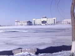 -南开大学滨海学院