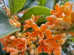 -苏州河梦清园环保主题公园