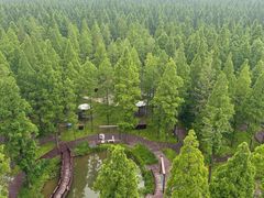 -黄海国家森林公园