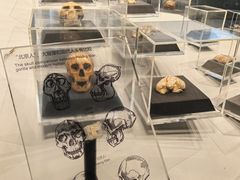 -北京周口店北京人遗址博物馆